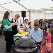 Maibaumfest